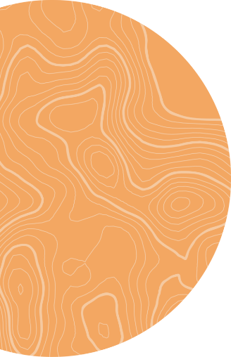 Orange Circle Graphic