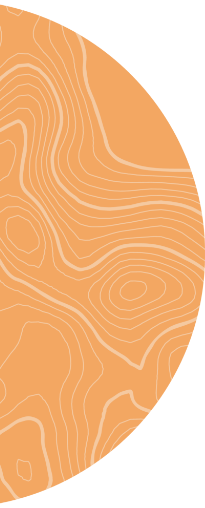 Orange Circle Graphic