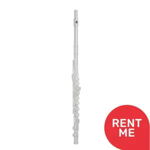 Trevor James 10X Student Flute