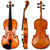 Hidersine Vivente 3180 Violin Outfit
