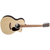 Martin GPC-X2E - Electro Acoustic Guitar