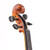 Stentor Conservatoire Violin Outfit
