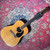 1974 Giannini AWS-680 12 String