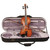 Stentor Graduate Violin Outfit