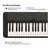 Casio CT-S1 - Black - Advanced Home Keyboard