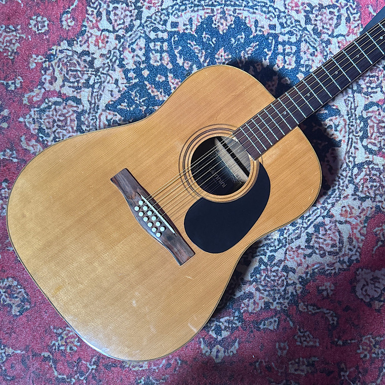 1974 Giannini AWS-680 12 String