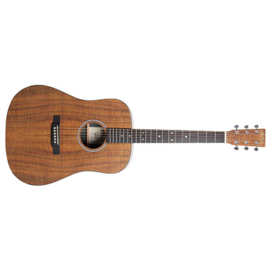 Limited Edition Martin D-X1 - Koa