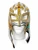 wwe rey mysterio