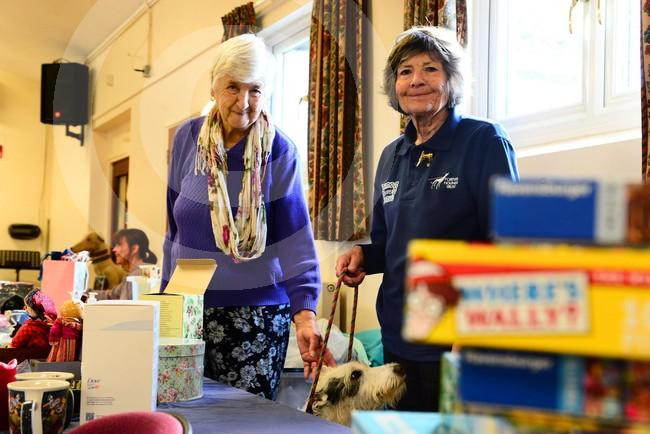 39600911-Forever Hounds Trust Christmas Fair at Edington Village