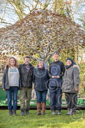 39377289-Mark Reed s Tree of Life sculpture is now at the QEH in King s ...