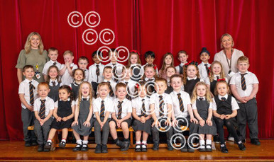 40057555-ccai-clober-primary-p1-newsquest-newsprints
