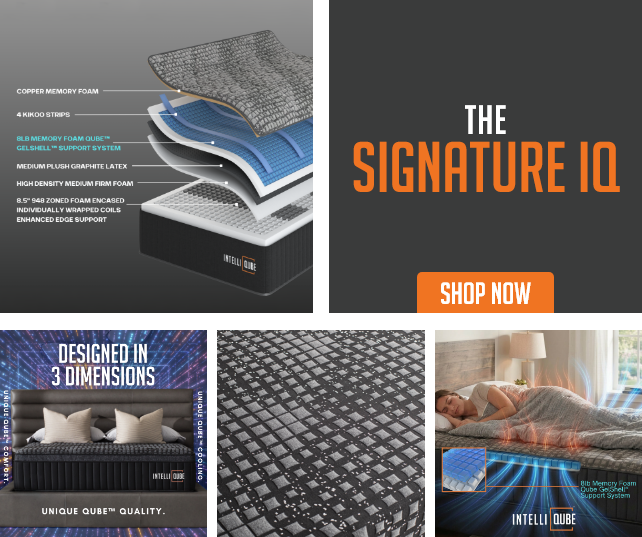 The Signature IQ - Shop Now