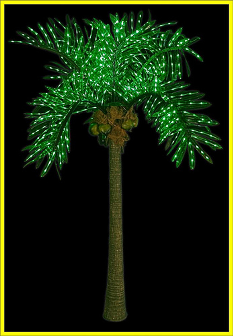 lighted palm tree with coconuts