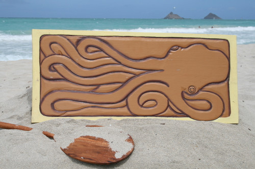 Giant Hawaiian Octopus He'e - Storyboard Giant Hawaiian Octopus He'e - Storyboard