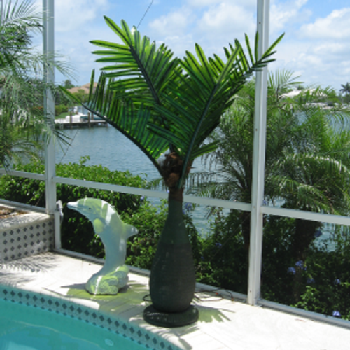 Lighted Palm Tree Tiara Led Style Hawaii