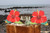 Aloha Tiki Bar Sign with Red Hibiscus Flowers Aloha Tiki Bar Sign with Red Hibiscus Flowers