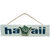 HAWAII  SHAKA HANG LOOSE SIGN HAWAII  SHAKA HANG LOOSE SIGN