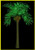 LED Palm Tree LED Palm Tree