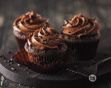 Double Chocolate Cupcakes
