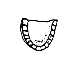 Large Dentures Dentist's Sign