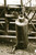 Gas Oil Separator Unit