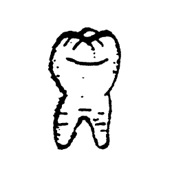 Large Tooth Dentist's Sign