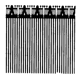 Wallpaper #6, Brown on Off White