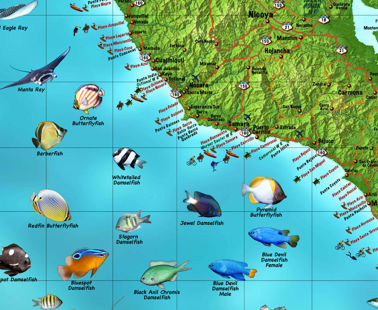 Costa Rica Illustrated Wall Map by Compart Maps | World Maps Online