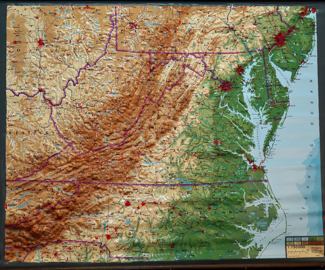 Mid-Atlantic United States Large Extreme Raised Relief Map - VA, WV NC ...