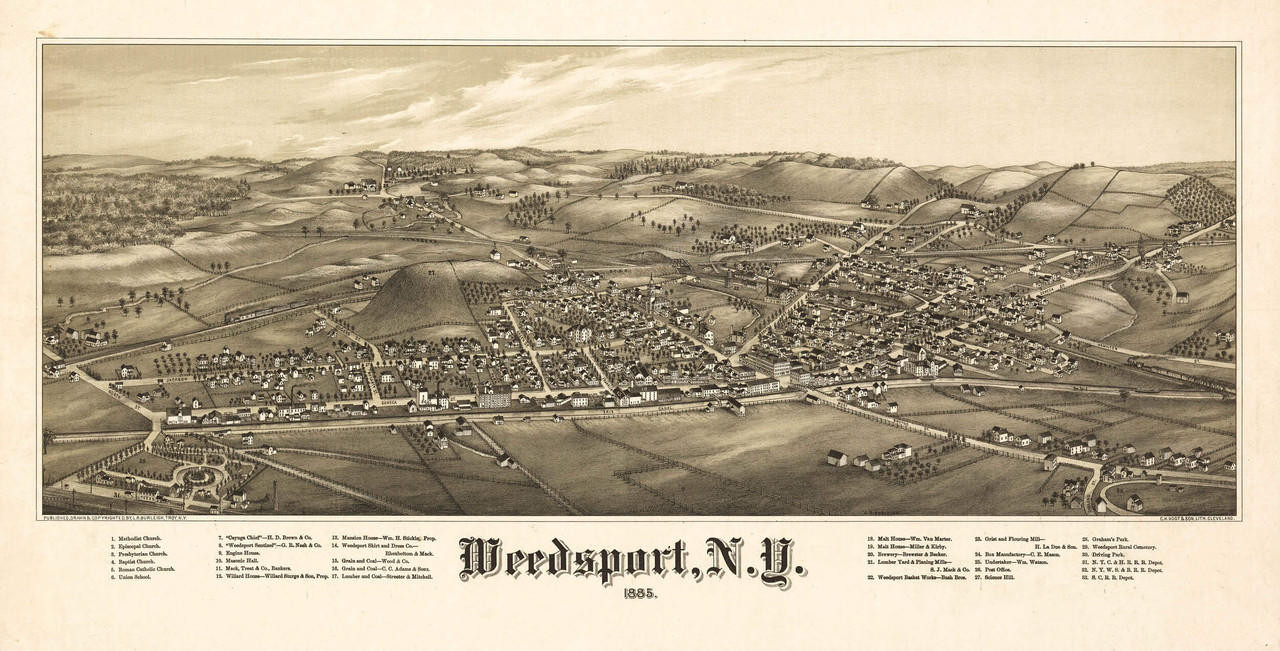 Historic Map - Weedsport, NY - 1885