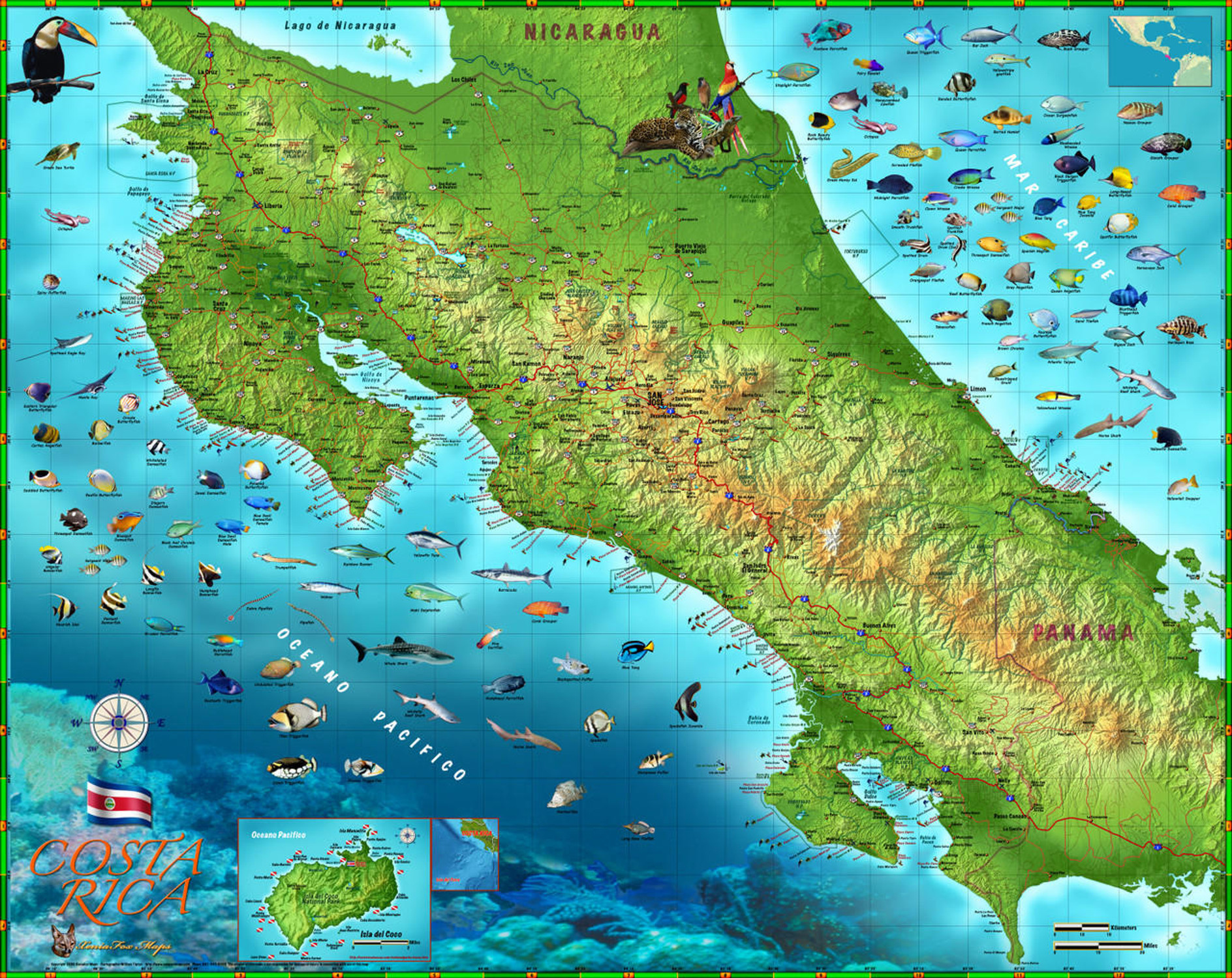 Costa Rica Illustrated Wall Map by Compart Maps, image 2, World Maps Online