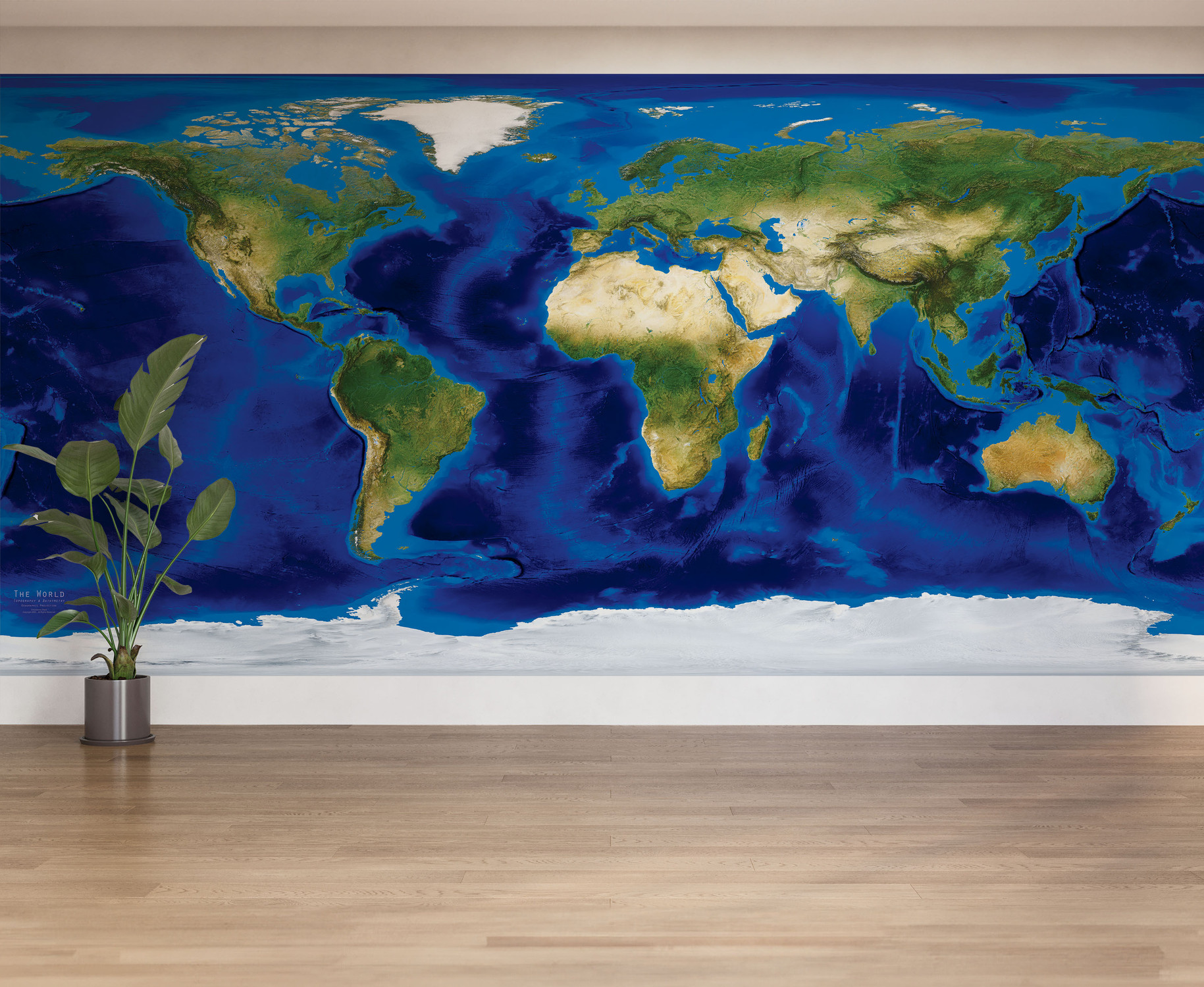 World Topography & Bathymetry Satellite Image Map Wall Mural in Room