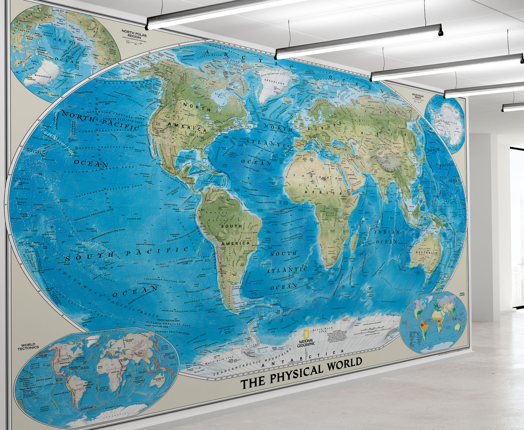 National Geographic World Physical Map Mural in Room