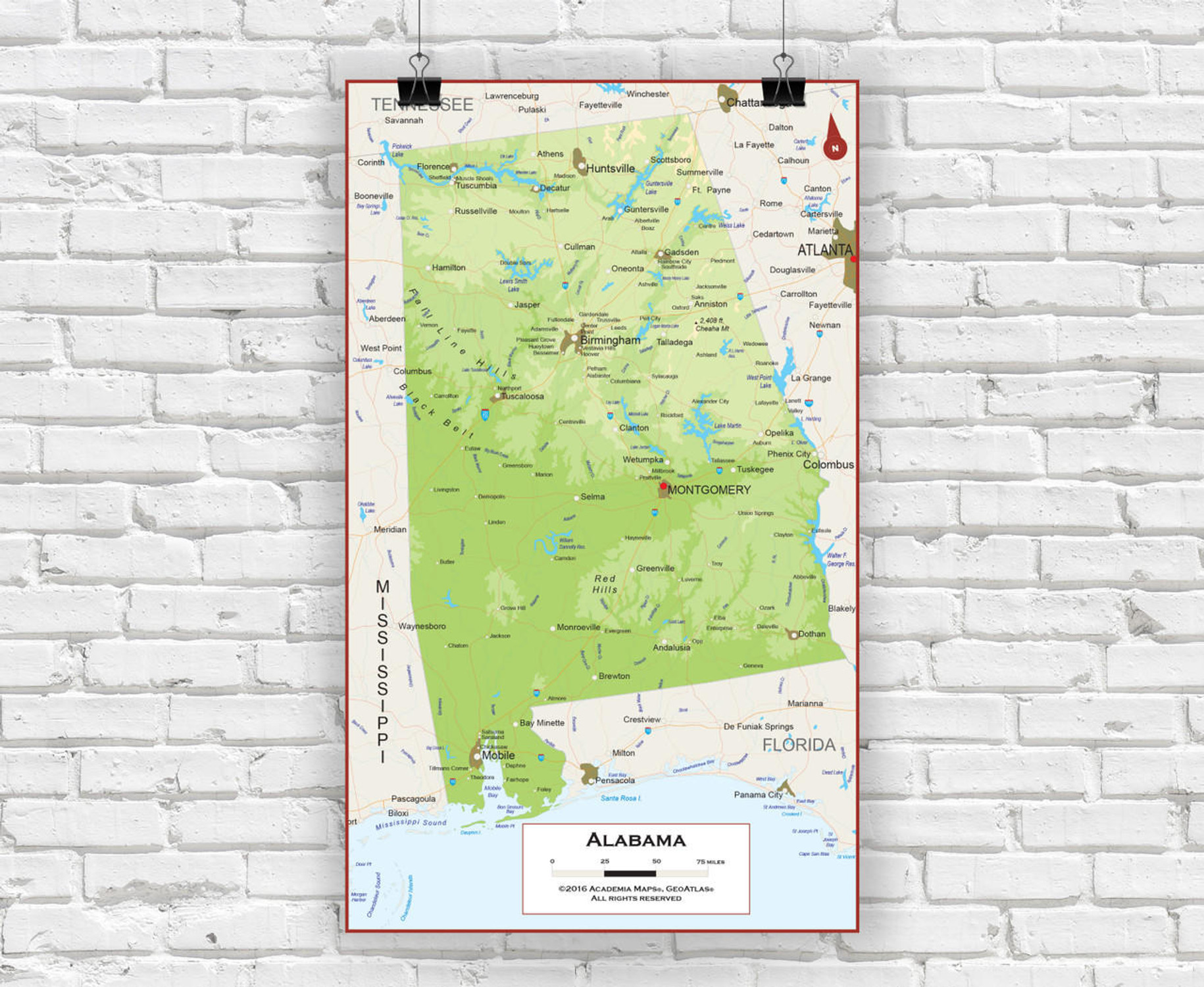 Alabama Wall Map - Physical, image 1, World Maps Online