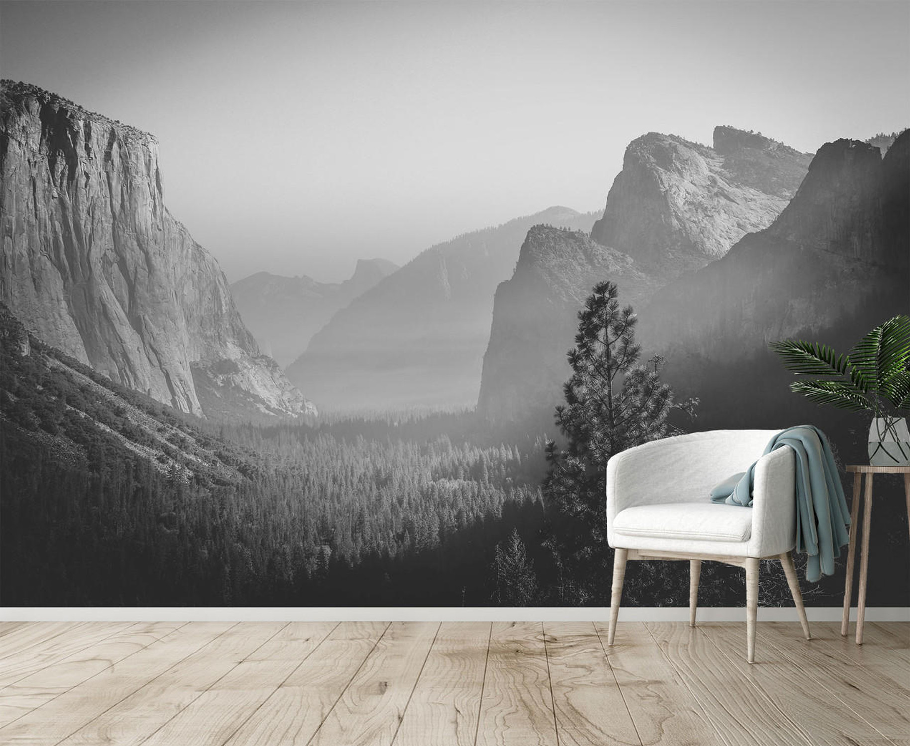 Yosemite National Park Black & White Wall Mural, image 1, World Maps Online