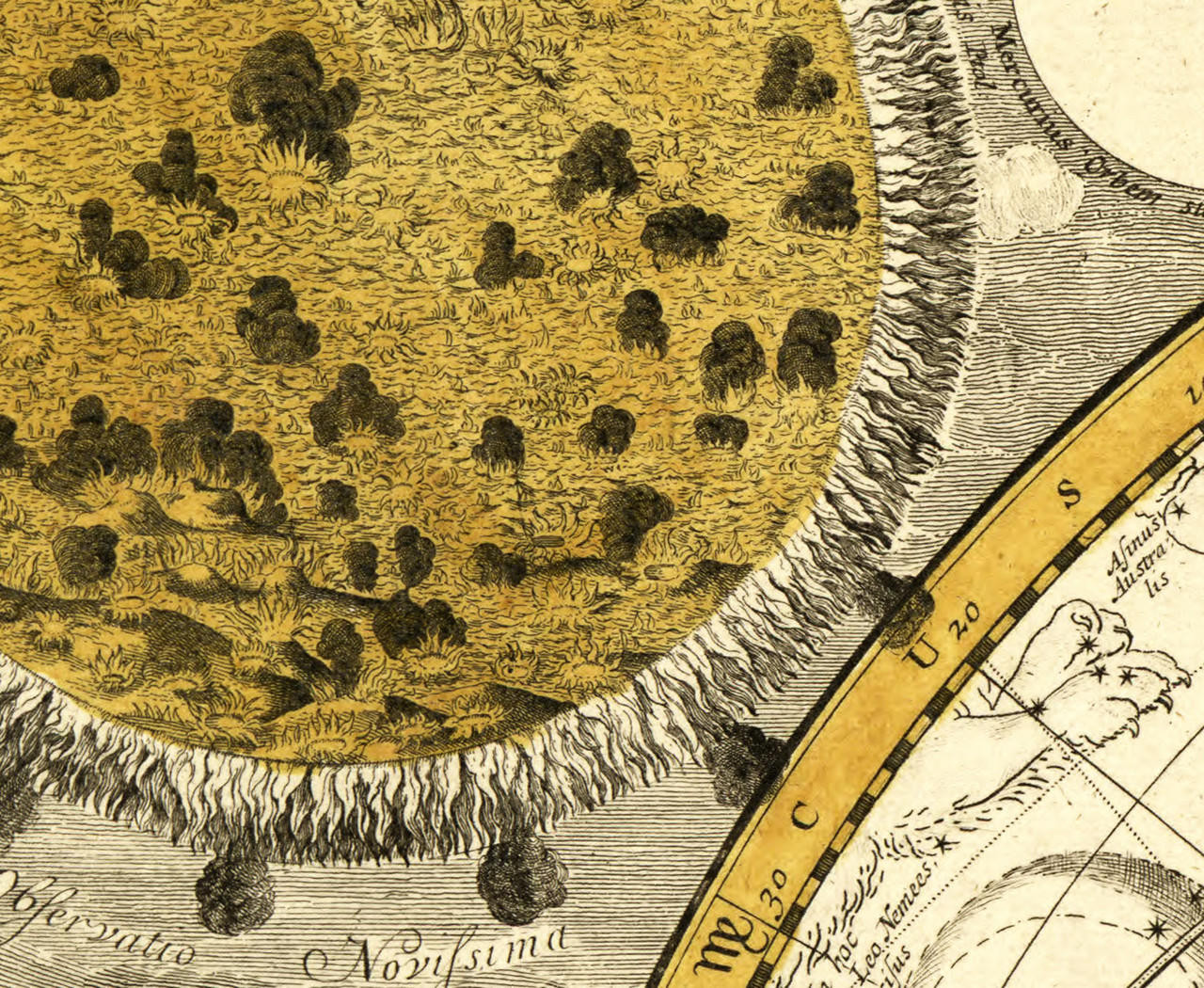 Vintage Celestial Map Poster - 1709 Astrological Constellations Art Print 24x28 Inches