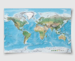 Natural World Physical Wall Map