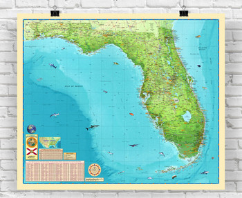 Florida Illustrated Wall Map from Compart, image 1, World Maps Online