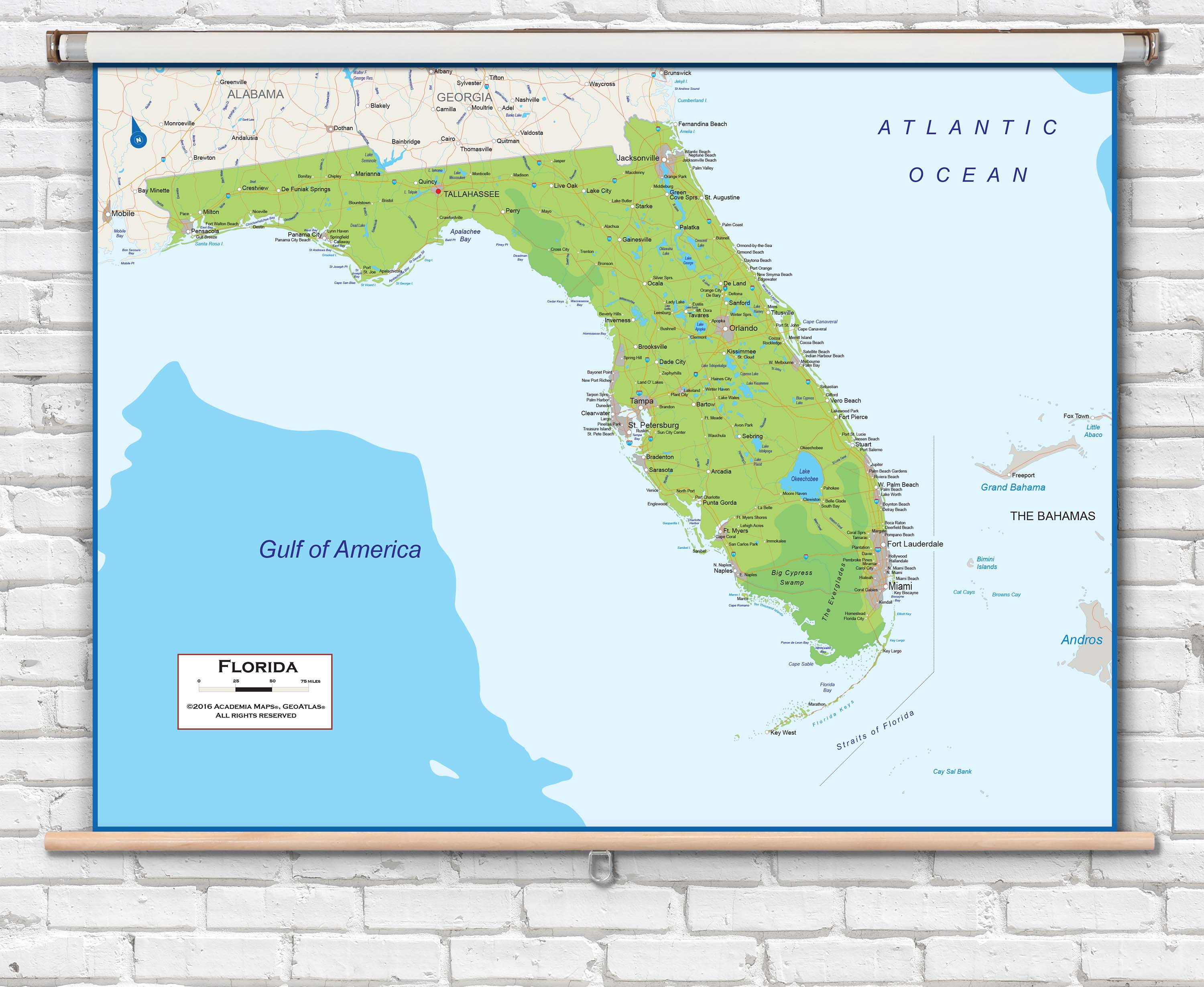 Florida Physical Gulf of America Pull-Down Map