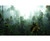 Palm Trees in Fog Jungle Scene Wall Mural, image 2, World Maps Online