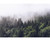 Misty Mountain Forest Slope Wall Mural, image 2, World Maps Online