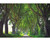 Tunnel of Trees Dark Hedges Wallpaper Mural, image 2, World Maps Online