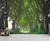 Tunnel of Trees Dark Hedges Wallpaper Mural, image 1, World Maps Online