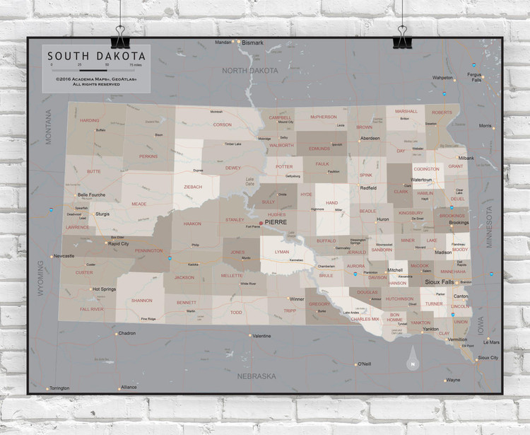 South Dakota Wall Map - Executive, image 1, World Maps Online