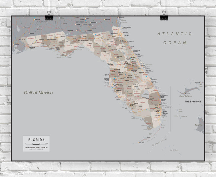 Florida Wall Map - Executive, image 1, World Maps Online