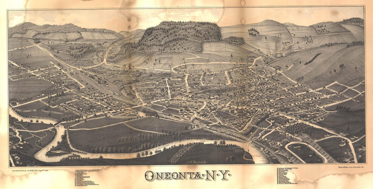 Historic Map - Oneonta, NY - 1884, image 1, World Maps Online