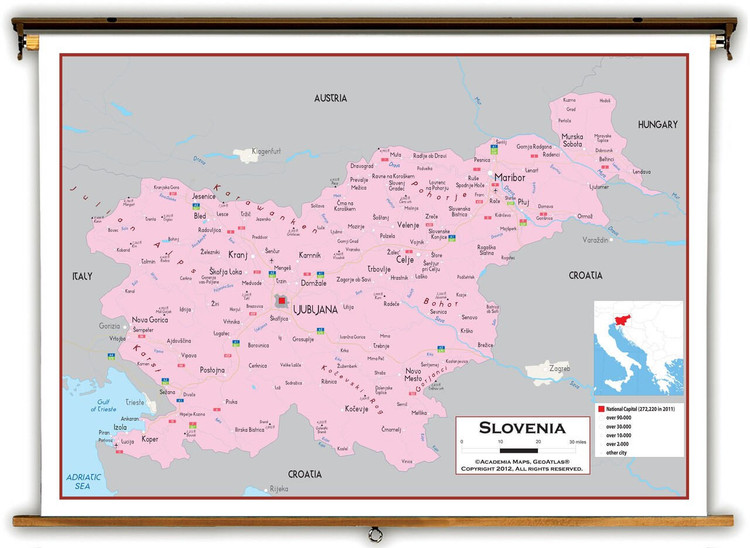Slovenia Political Educational Map from Academia Maps, image 1, World Maps Online