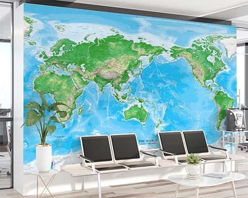 World Physical Map Murals