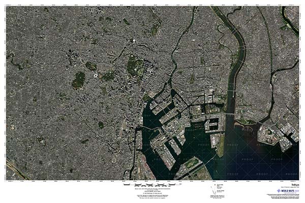 Tokyo Satellite Imagery Map with Labels
