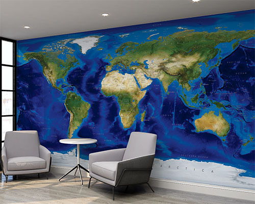 Satellite Imagery Murals